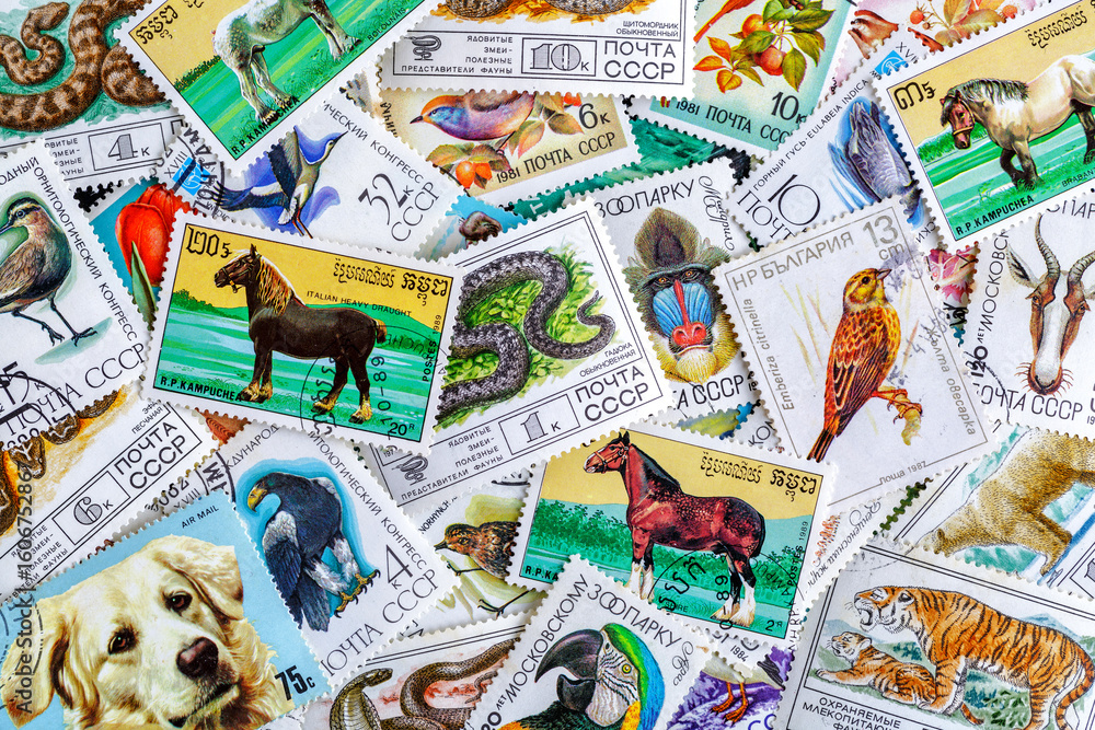 Obraz premium Postage stamps.A collection of world stamps in a pile.Postage stamps from different countries and times
