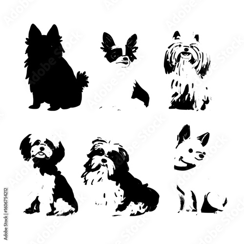 On a white background, a flat-style collection of companion and miniature toy dogs is displayed, featuring an array of colors and countries of origin