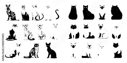 A collection of domestic cat breeds and hybrids is isolated on a white background in a flat style set, showcasing various colors and countries of origin