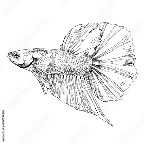 Isolated modern illustration sketch of an aquarium depicted in black and white graphics