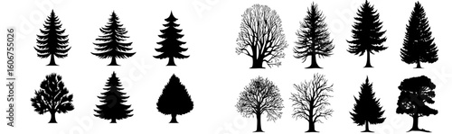 The silhouette of a spruce tree in a modern hand drawn illustration