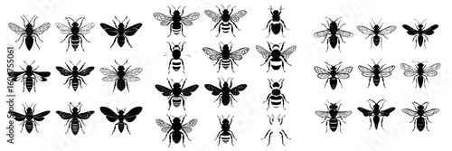 Modern illustrations of a bee and wasp are showcased in silhouette form against a white backdrop as part of a collection