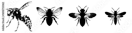 A wasp or bee stands alone as a silhouette on a white background