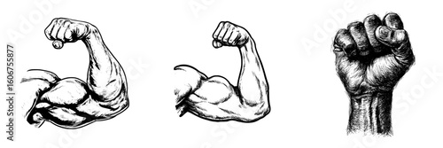 Modern illustration sketch of a hand drawn cartoon symbol for a strong hand, bicep, and arm