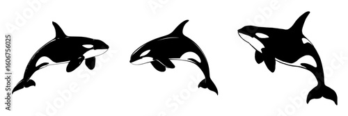 A lone black orca whale silhouette is set against a white background, representing a killer whale, a sea animal