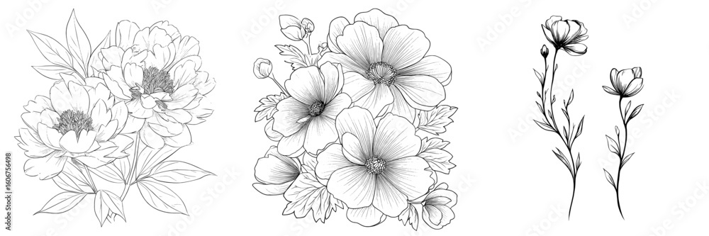 custom made wallpaper toronto digitalPeony flowers are outlined in a hand-drawn style, isolated on a white background, as part of a modern floral illustration