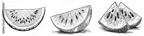 Modern illustration of a watermelon fruit plant slice is presented in a scratch board style imitation as a hand drawn image
