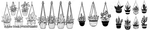 Various houseplants are depicted in hanging flowerpots and pots within a modern hand drawn outline black and white sketch illustration