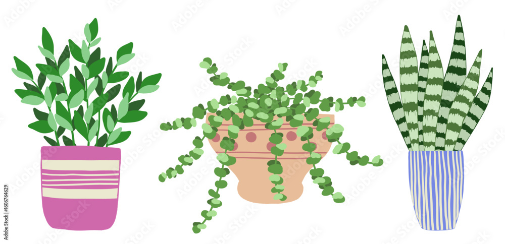 Obraz premium Set of indoor plants in pots on a white background. Vector illustration.