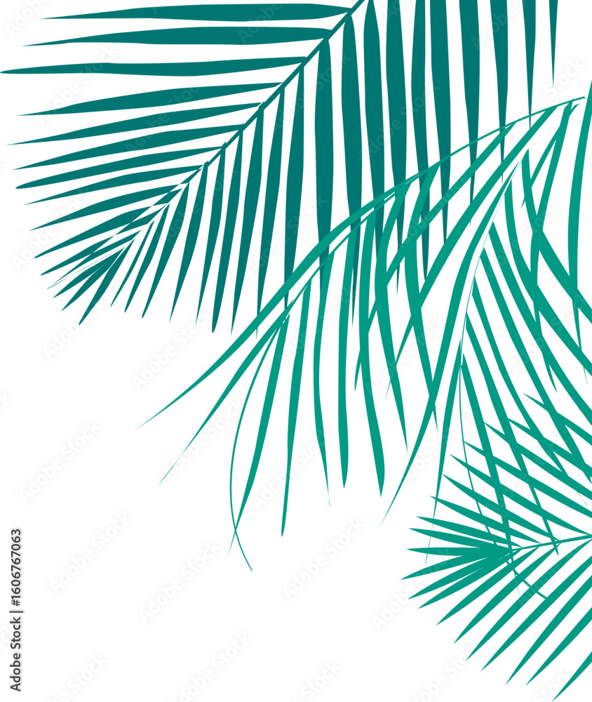 Obraz premium Coconut Leaves Corner