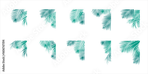 Coconut Leaves Corner 