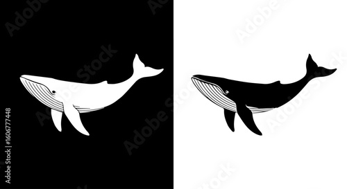 A striking visual contrast featuring a white whale on a black background and a black whale on a white background, highlighting duality and symmetry.