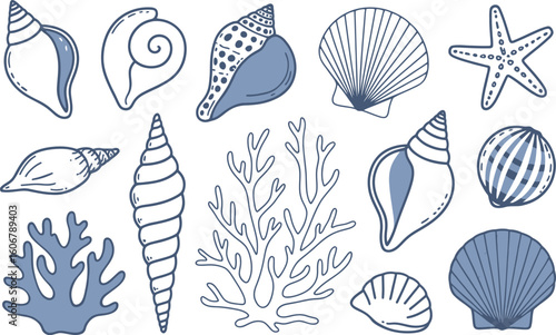 Hand-drawn seashell and coral illustrations in blue and white