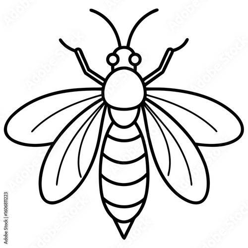 Firefly line art vector