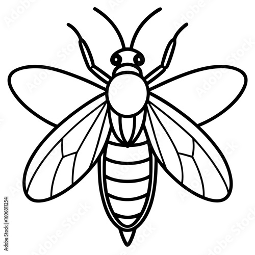 Firefly line art vector