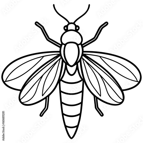 Firefly line art vector