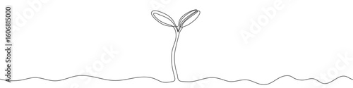 Sprouting plant in one line art style. Sprout drawing with editable black stroke on white background. Vector illustration.