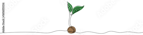 Sprouting plant in one line art style. Sprout drawing with editable black stroke on white background. Vector illustration.