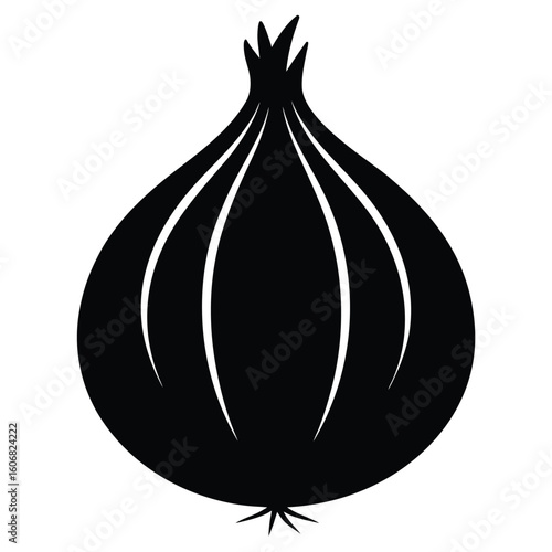 red onion vector illustration