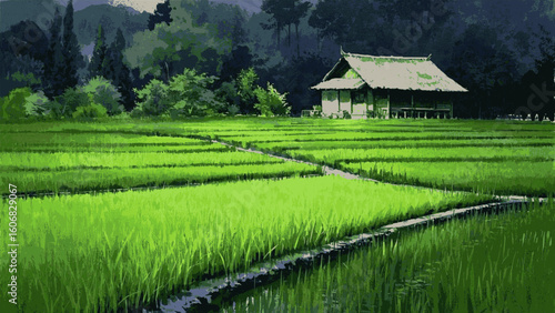 Rice field isolated watercolor vector illustration svg