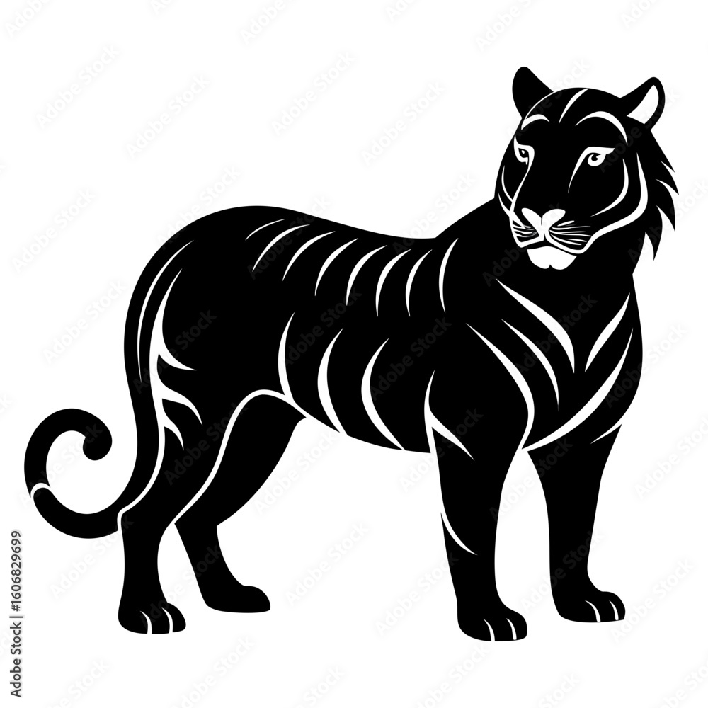 Obraz premium Tiger vector clean black silhouette design white background