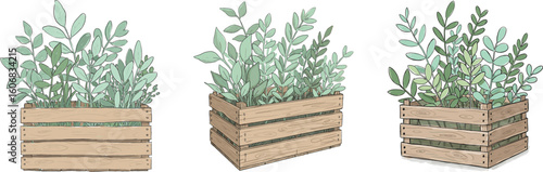 Wooden crates with green plants in watercolor style  