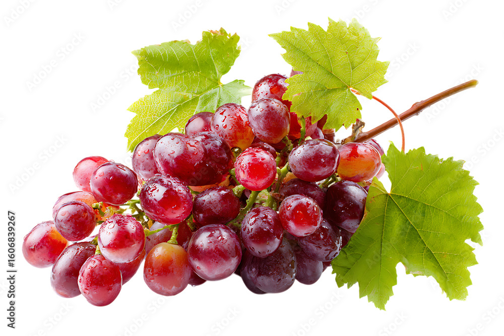 Fototapeta premium Grapes in a glistening red cluster with attached green leaves and stem are isolated on a crisp transparent background for healthy food and