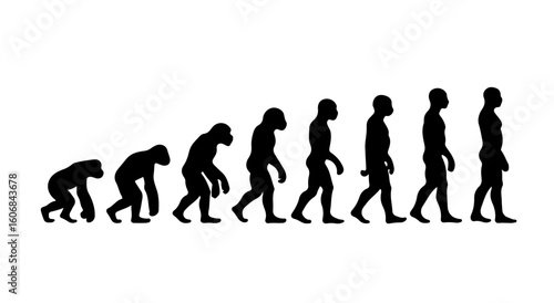 Human Evolution Silhouette Sequence