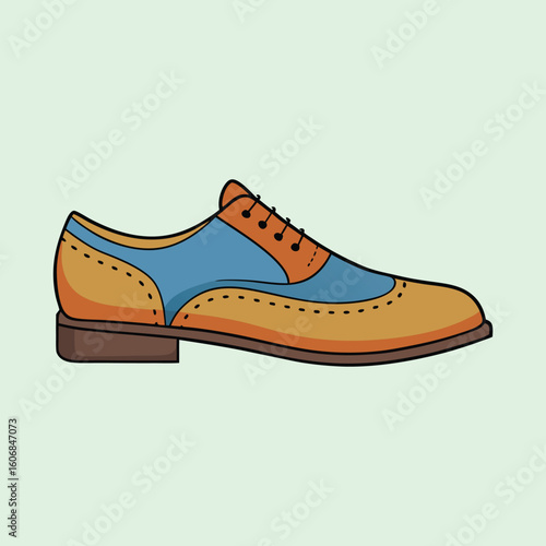 vector illustration of oxfords