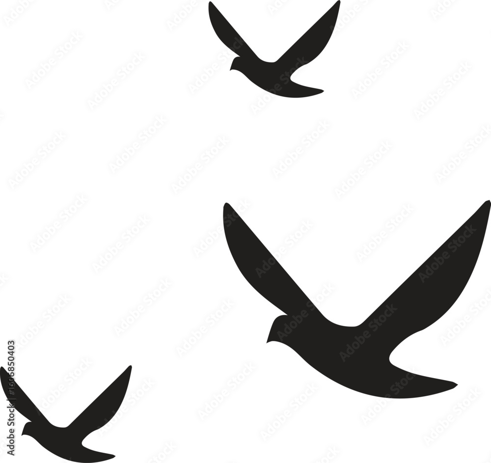Obraz premium Flying birds silhouettes on white background. Vector illustration. isolated bird flying. tattoo design.