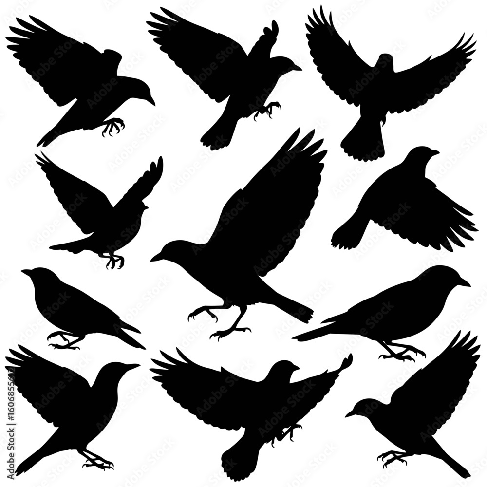 Obraz premium Collection of Flying Crow Silhouettes