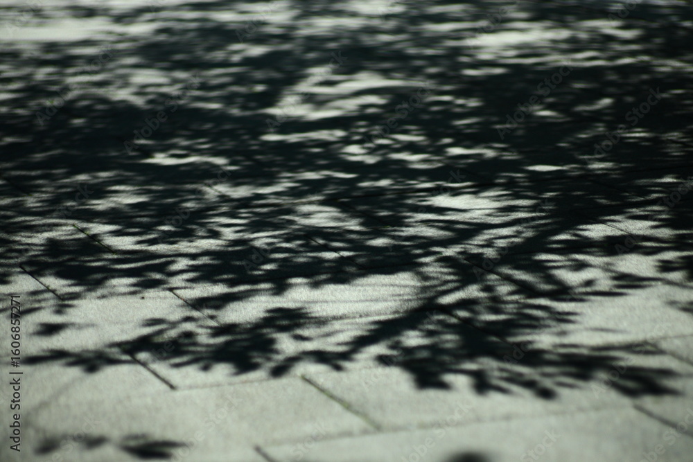 Obraz premium tree shadow, pavement texture, natural light play, leafy silhouette, tranquil moment, urban nature, minimal background, eco harmony, health walk, summer sunlight, peaceful street, wellness retreat