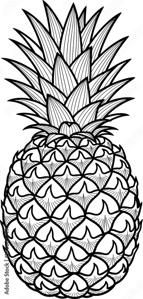 Obraz premium Pineapple Fruit Illustration in Vintage Engraving Style. Black and White Line Art.