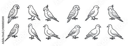 Hand-Drawn Bird Icons