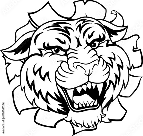 Tiger Animal Sports Team Ca...