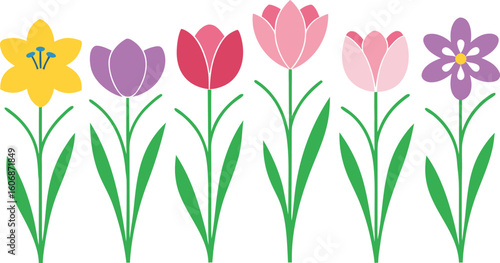 A vibrant collection of spring flowers including tulips daffodils and a purple aster arranged in a row isolated on transparent background