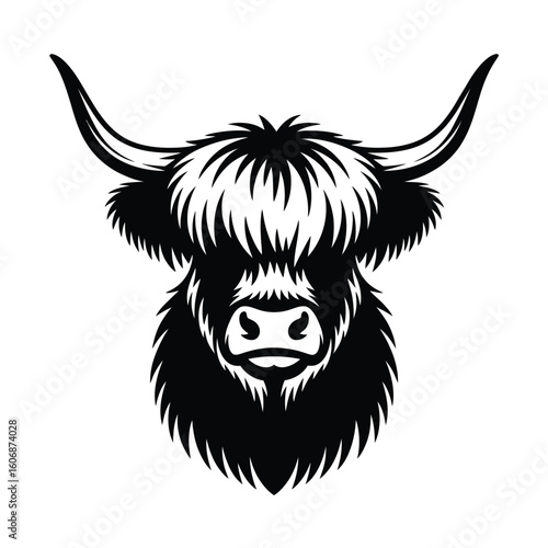 Stylized black and white highland cow portrait