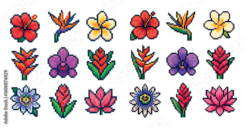Tropical Flower Icons