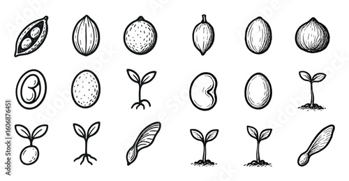 Botanical Seed Icons