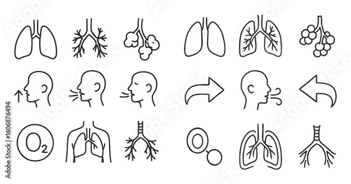 Lung Anatomy Icons