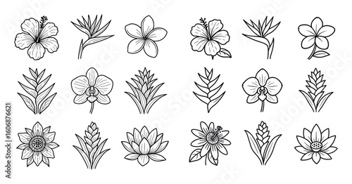 Tropical Flower Icons