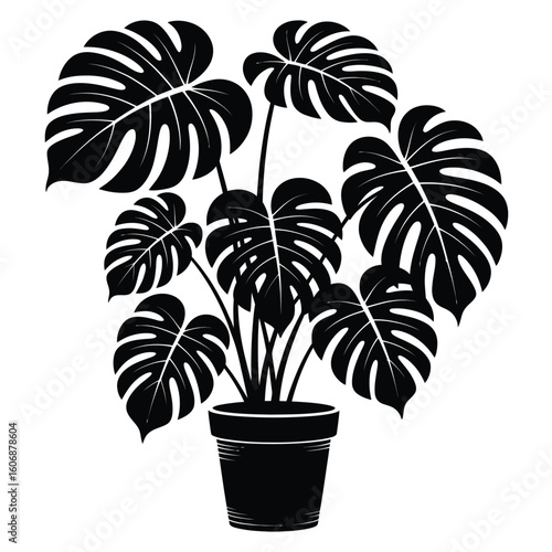 Monstera deliciosa plant silhouette in a pot
