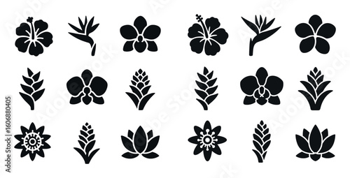 Tropical Flower Icons