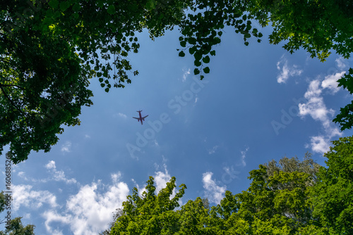 Airplane flying through blue sky framed by green tree canopy low angle view
