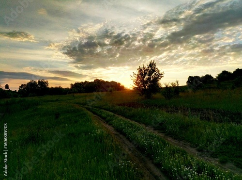 sunset in the countryside