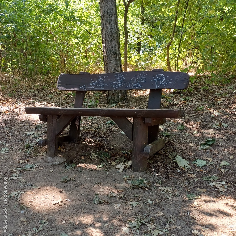 Old Wooden Bench in a Forest with Graffiti Old Wooden Bench in a Forest with Graffiti