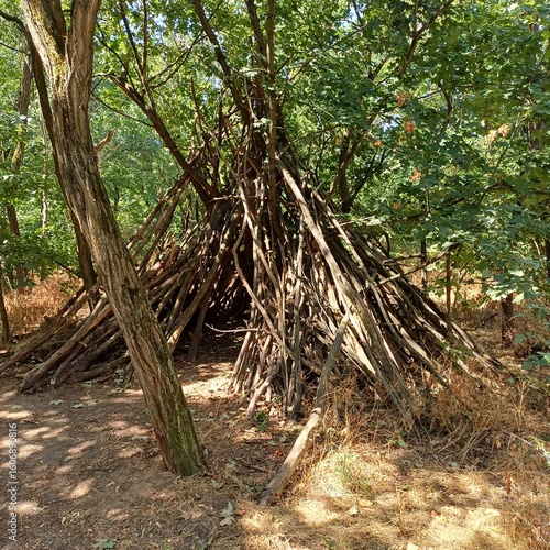 Wallpaper Mural Wooden Shelter Built from Branches in the Forest Torontodigital.ca