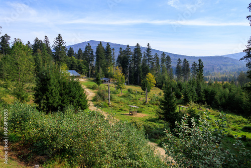 Mountain panorama with summit Großer Falkenstein, animal stalls and feeding sites in Bavarian Forest National Park Falkenstein near Ludwigsthal (Lindberg), Germany