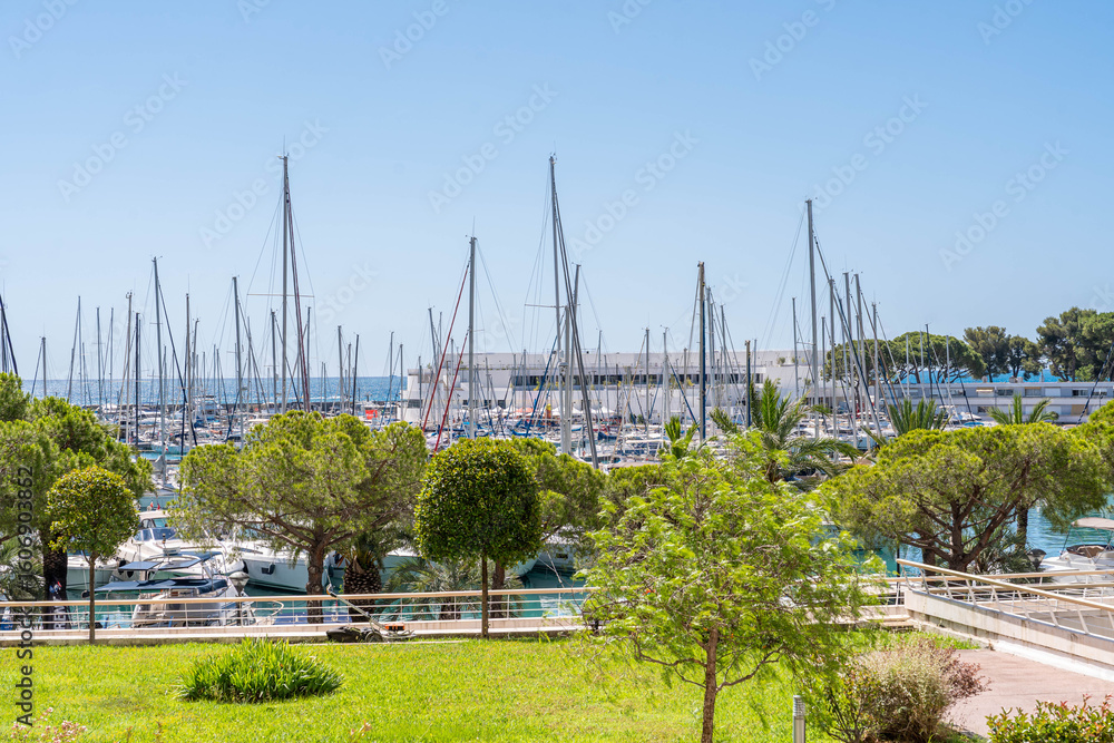 Obraz premium Scenic Marina with Sailboats and Green Park in Summer