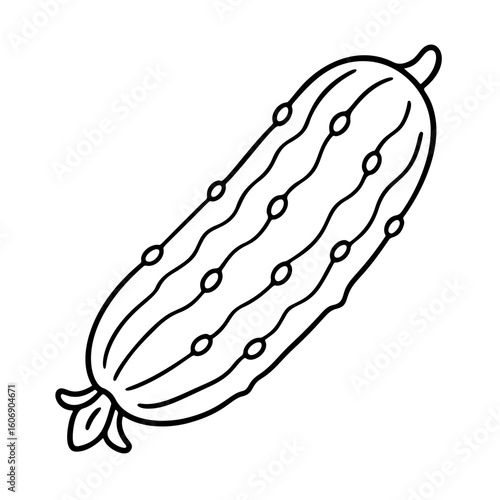 fresh cucumber black and white icon clean line art, doodle style. Ideal for logo, tattoo, app, coloring book, web design, infographics, banner, poster, and more. Vector illustration